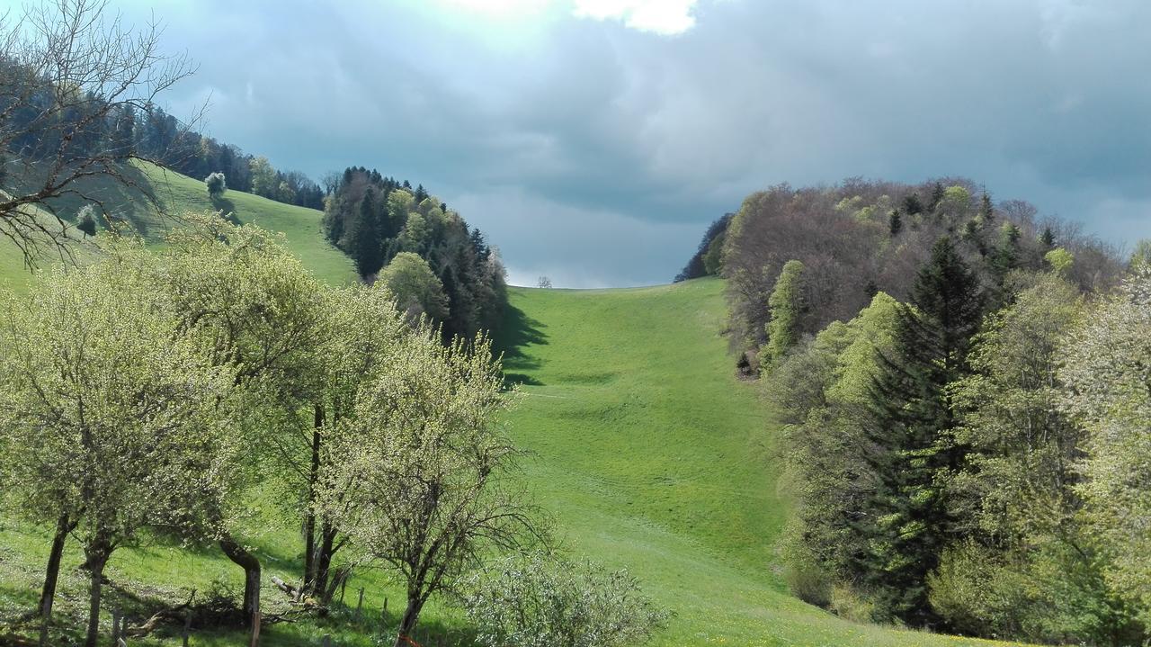 La Joux Chaupe Saint-Ursanne Exterior foto